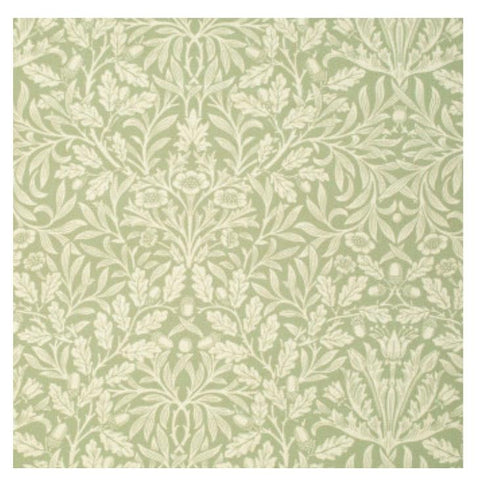 Acorn - Color Sage