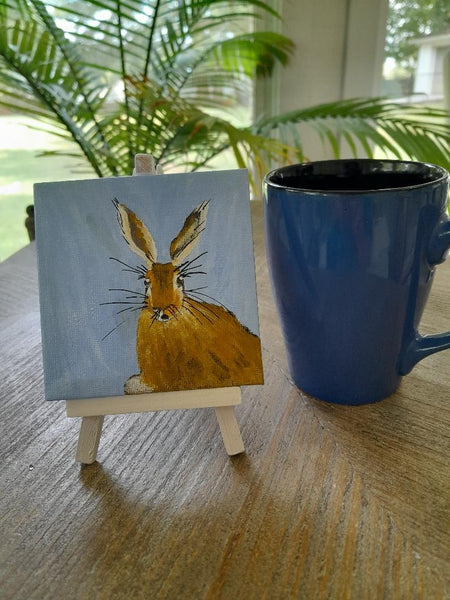 #D8 Clueless Rabbit