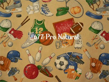 $184.00 Roman Shade Sports  #P180