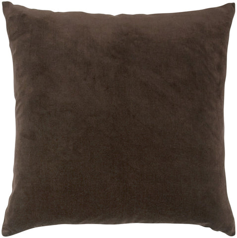 #C668  VELVET Pillow 20 x 20