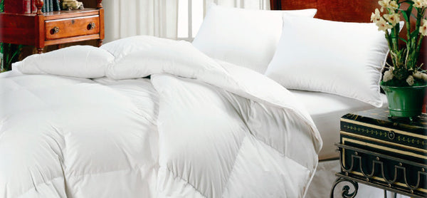 #TWDBB Full / Queen DOWN WHITE DUCK Comforter
